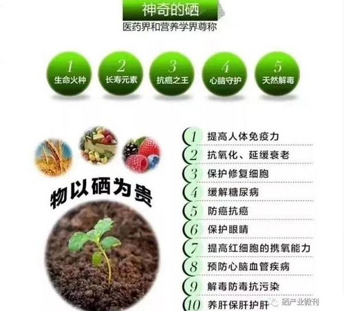 九溪九香 以富硒技術引領特色農業發展，推動現代農業高質量轉型