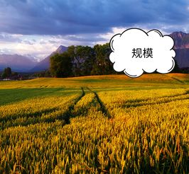 科技賦能農(nóng)業(yè)，智慧引領(lǐng)電商——為農(nóng)產(chǎn)品電商領(lǐng)域中的農(nóng)業(yè)技術(shù)研究者點(diǎn)贊