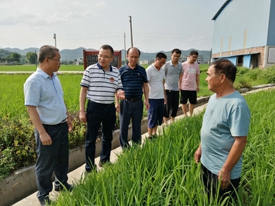 我區(qū)啟動(dòng)全國(guó)五星鄉(xiāng)鎮(zhèn)農(nóng)技推廣機(jī)構(gòu)復(fù)核工作，深化農(nóng)業(yè)技術(shù)研究與應(yīng)用