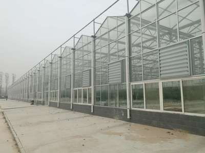 科技賦能，質(zhì)效并舉 現(xiàn)代高品質(zhì)農(nóng)業(yè)技術(shù)研究進(jìn)展與展望